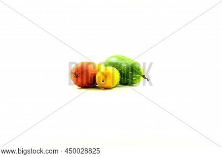 Ivy Gourd Coccinia Grandis, Also Known As Parval Or Kundru, Is A Perennial Herbaceous Vine Of Family