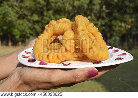 Female Holding Imarti Sweets, Popular Sweet Dish From India. Circular Spiral Shape Dessert Made With