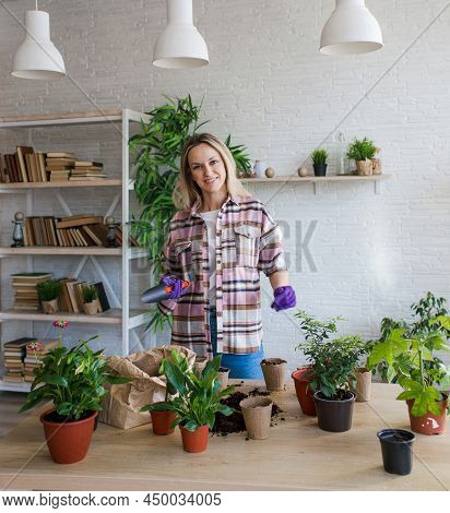 Spring Work Room Care, Houseplant Renunciation. Waking Up Indoor Plants For Spring. A Woman Transpla