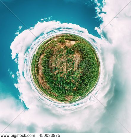 Aerial View Green Coniferous Forest Pines Woods Landscape In Sunny Spring Day. Top View Of Beautiful