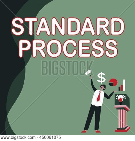 Hand Writing Sign Standard Process. Business Overview Rules Made To Be Matched With Final Product Qu