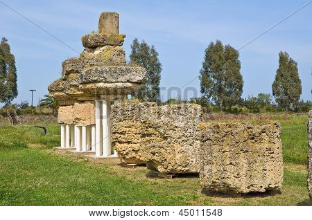 Parco archeologico. Metaponto. Basilicata. Italia.