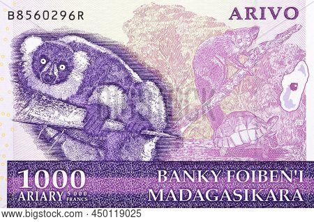 Endemic Animals From Old Malagasy Money - Ariary