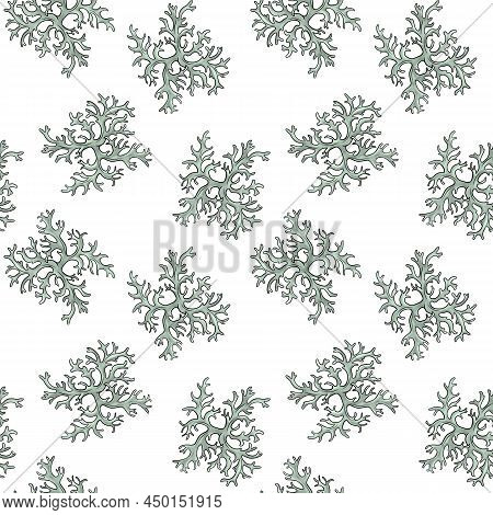 Seamless Pattern With Drawing Oakmoss At White Background, Evernia Prunastri, Hand Drawn Illustratio