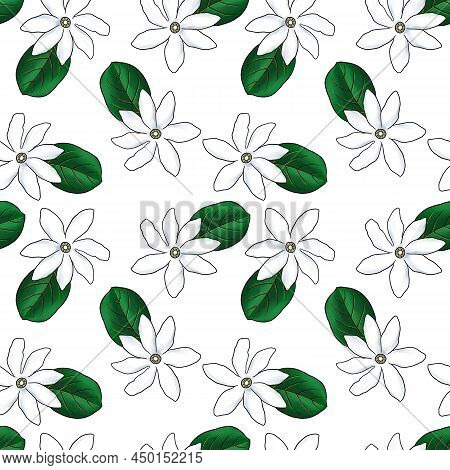 Seamless Pattern With Drawing White Flowers Of Tahitian Gardenia , Gardenia Taitensis, Tiare At Whit