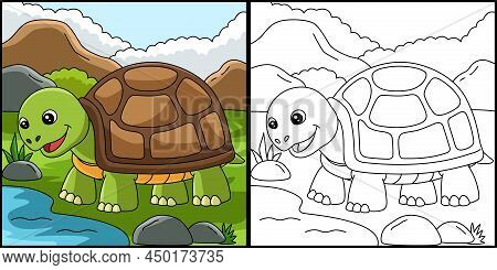 This Coloring Page Shows A Turtle. One Side Of This Vector Illustration Is Colored And Serves As An 