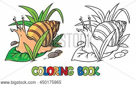 Funny Snail Kids Coloring Book Vector Illustration