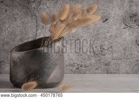 Modern Dark Ceramic Vase With Dry Rabbit Tail, Lagurus, Fluffy Beige Flowers. Floral Home Decor