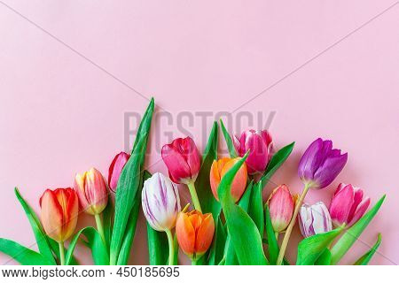 Colorful Tulips Flower Composition Over Pink Background With Copy Space. Love, Mother's Day, Women's