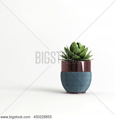Succulent Plant In Luxury Pot Isolated On Light Background 3d Illustration