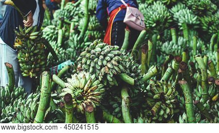 Lots Of Raw And Ripe Bananas Fruits Display At A Wet Market In Laos. Females Vendors Collecting Bana