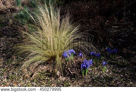 Perennial Bed Mulched With Gray Gravel In Front Of A Limestone Stone Wall In A Square With Benches W