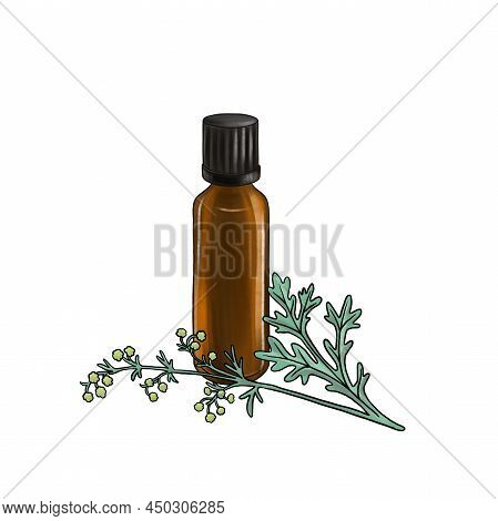 Drawing Wormwood Essential Oil, Glass Bottle And Flower, Hand Drawn Illustration