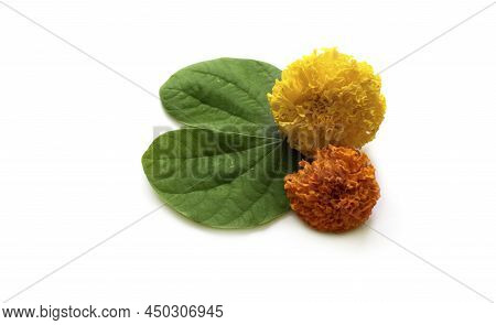 Indian Festival Dussehra, Showing Golden Leaf (piliostigma Racemosum) And Marigold Flowers On White 