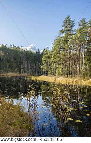 View Of The Haukkalampi Pond In Autumn, Nuuksio National Park, Espoo, Finland