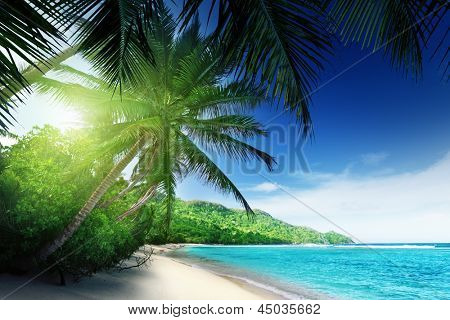 stranden i solnedgang tid på Mahe island Seychellerne