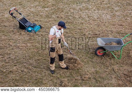 Scarifying Lawn With Rake And Scarifier, Man Gardener Scarifies The Lawn And Removal Of Old Grass