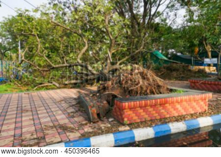 Blurred Image Of Kolkata, West Bengal, India. Super Cyclone Amphan Uprooted Tree Which Fell And Bloc