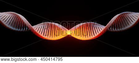 3d Render Helix Complementary Strand Of Dna Of Rna. Sequences Genetic Code Or Genome. Gene Expressio