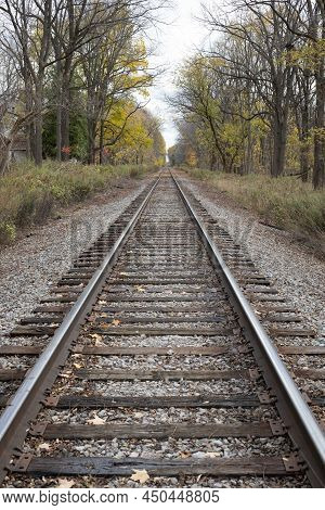 Low Angle Photo Of Single Train Track Through The Forest.