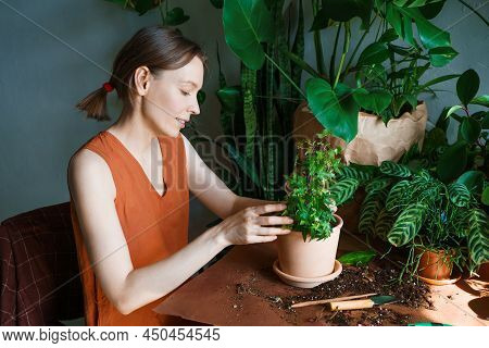 Spring Work Room Care, Houseplant Renunciation. Waking Up Indoor Plants For Spring. A Woman Transpla