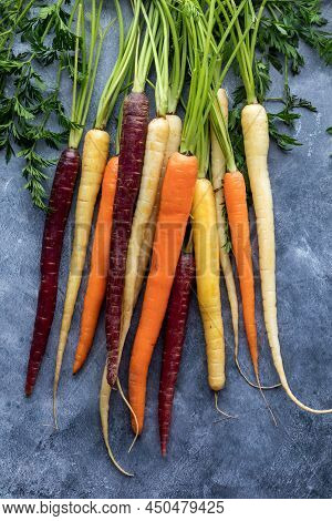 Top Down View Of A Bushel Of Raw Rainbow Carrots Against A Dark Background.