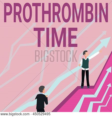 Hand Writing Sign Prothrombin Time. Concept Meaning Evaluate Your Ability To Appropriately Form Bloo