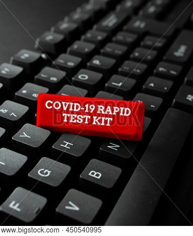 Conceptual Display Rapid Test Kit. Internet Concept Emergency Medical Diagnostic Equipment That Deli