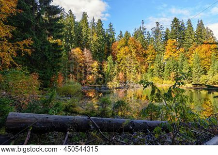 View Of High-altitude Forest Lake Ozirtse By Sunny Autumn Day Near Synevyrska Poliana, Zakarpattia O