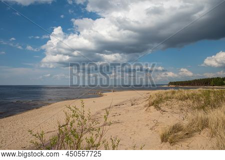 Carnikava, Latvia, Coastal Scene At The Baltic Sea With Fallen Trees In A Sunny Day