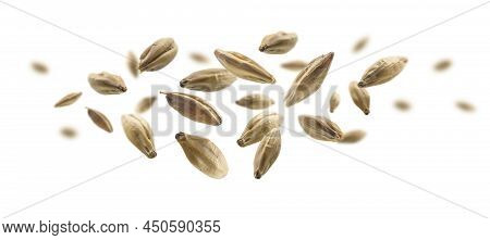 Barley Malt Grains Levitate On A White Background