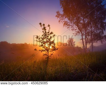 Beautiful Spring Sunreise Landscape With Trees. Seasonal Scenery Of Northern Europe.