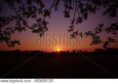 Beautiful Spring Sunreise Landscape With Trees. Seasonal Scenery Of Northern Europe.