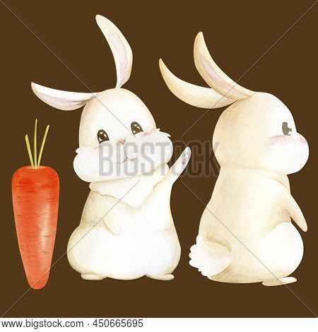 Watercolor Rabbit Set Carrot Plants Back View
