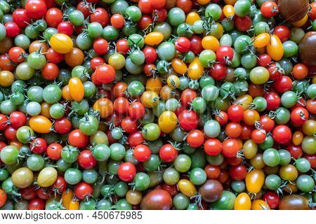 Background Of Red Yellow Green Tomatoes, Upper View. Multicolor Composition From Cherry Tomatoes. 1,