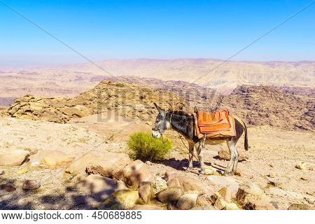 View Of Desert Mountain Landscape, With A Donkey, Near Petra, In Southern Jordan