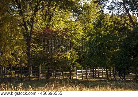 A Corral For Animals In A Green Meadow Among Trees. Small Family Farm