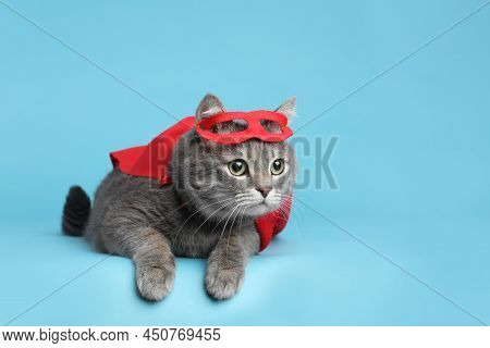 Adorable Cat In Red Superhero Cape And Mask On Light Blue Background, Space For Text