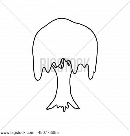 Nature Botanical Illustration Of An Isolated Tree Silhouette. Doodle Line Coloring Of A Willow Tree 