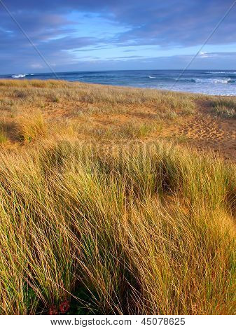 Warrnambool Beach In Australia