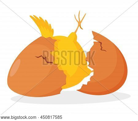 Chicken Hatching From The Egg. Cartoon Baby Chick Born Process. Small Baby Bird Emergence From Egg, 
