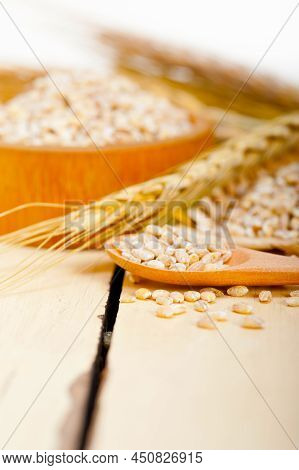 Organic Wheat Grains