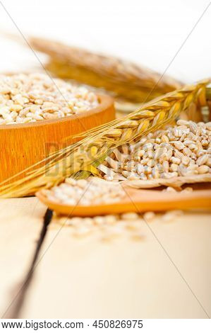 Organic Wheat Grains