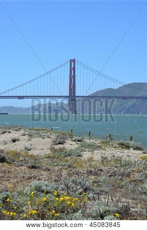 San Francisco