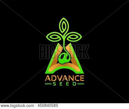 Letter A Logo Icon Design Template. A Letter Logo Design With Green Seed Logotype Illustration