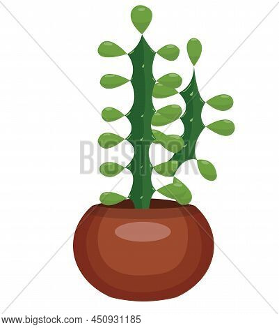 Cactus In A Pot. Vector Stock Illustration Isolated On White Background.