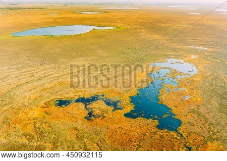 Miory District, Vitebsk Region, Belarus. The Yelnya Swamp. Upland And Transitional Bogs With Numerou