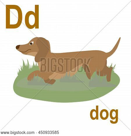 Cute Doggie, The Abc Of Children's Wall Art. Postcards With The Alphabet. Poster With Children's Alp