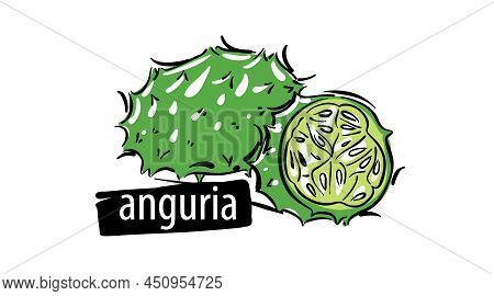 Drawn Anguria Isolated On A White Background