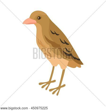 Isometric Ornithologist Isometric Composition With Isolated Image Of Ovenbird Vector Illustration
